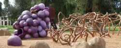 Grape Day Park