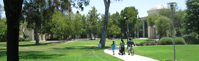 grape day park escondido